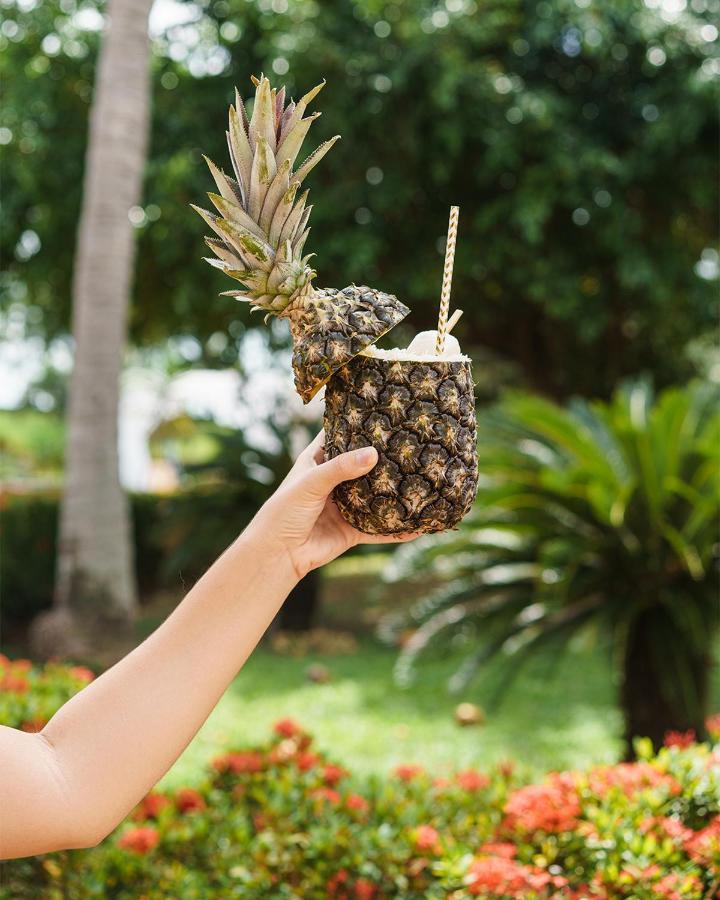 Hotel Blue Tree Towers Sao Luis Exterior foto Pineapple juice